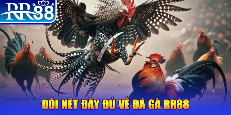 sunwin club game nổ hủ máy bay