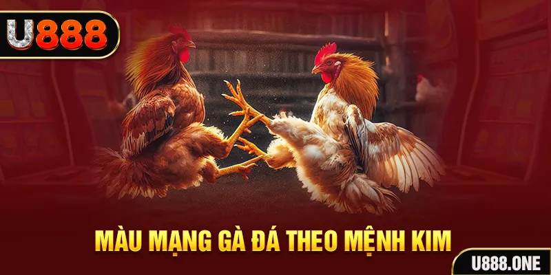 sunwin club gà chọi tiêu phong