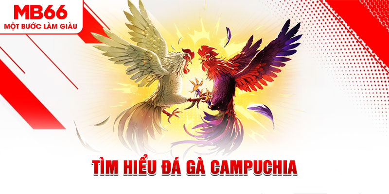 sunwin club tại sao không tải được nổ hũ