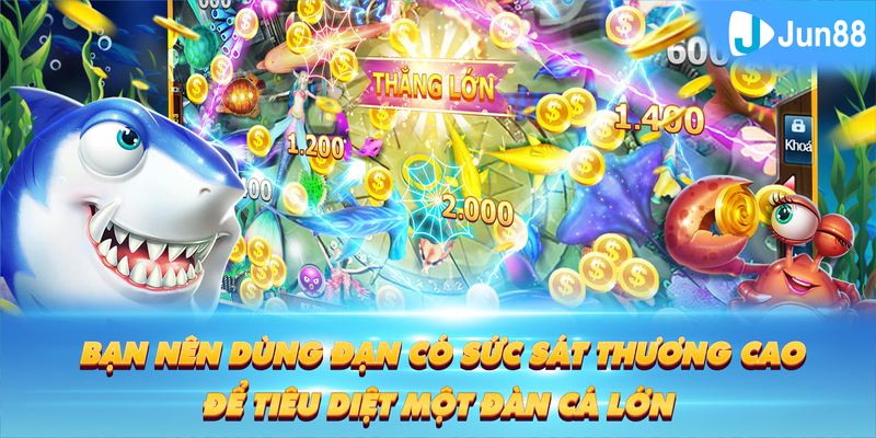 sunwin club ÁT CHỦ BÀI GIÀNH LẤY ZHUANG NIUNIU ( XEM 3 LÁ )
