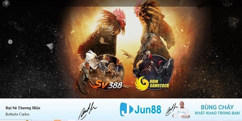 sunwin club xổ số miền nam hàng tuần
