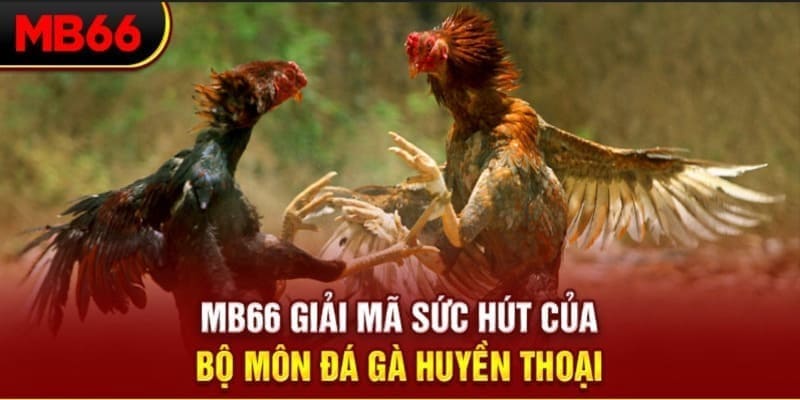 sunwin club long bảo trong baccarat là gì