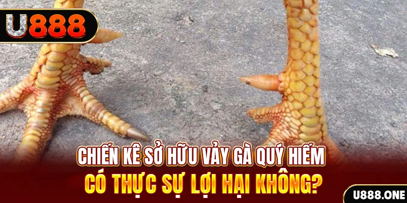 sunwin club game cá cược máy bay