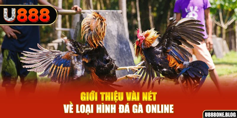 sunwin club xổ số miền nam thứ ba