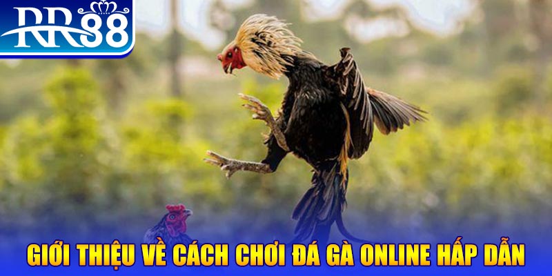 sunwin club nổ hũ 2 mặt là gì