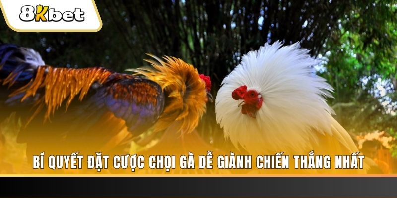 sunwin club may club nổ hũ